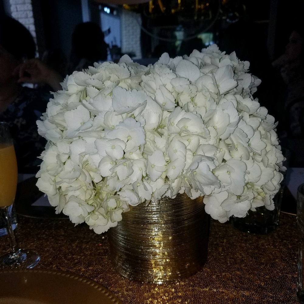 Meet your Posher, Maria